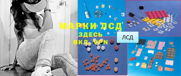 СК Инсар